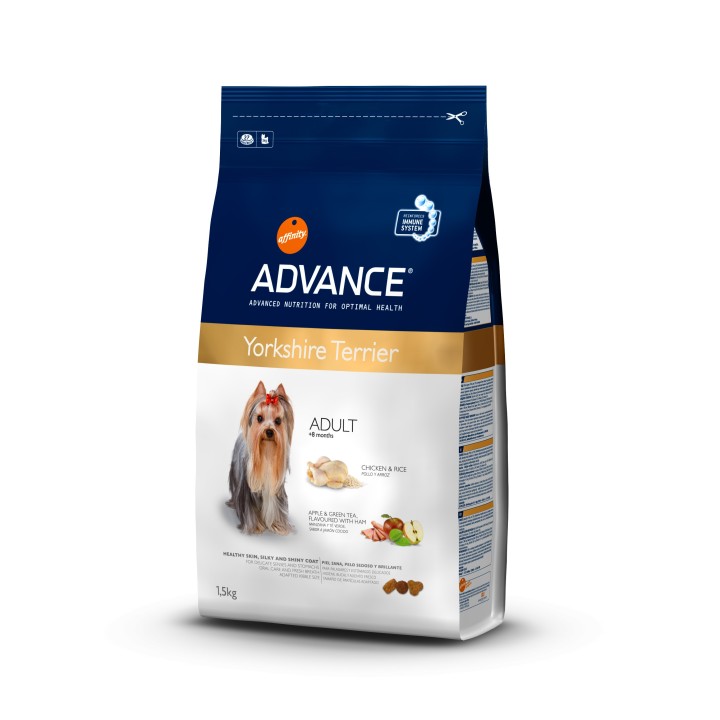 Advance Yorkshire Terrier