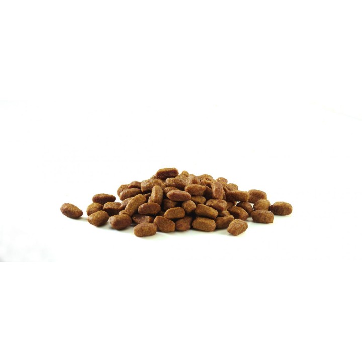 Croqueta pienso Purina One Gatos Esterilizados rico en Buey y Trigo