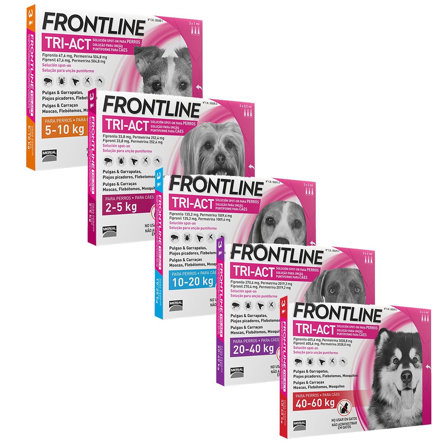 Frontline tri-act perro