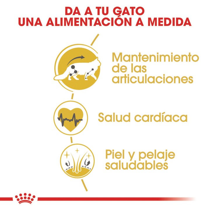 Pienso para gatos Royal Canin Maine Coon