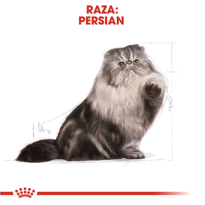 Pienso para gatos Royal Canin Persian