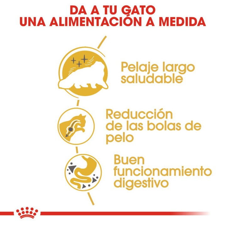 Pienso para gatos Royal Canin Persian
