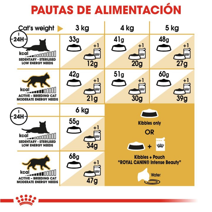 Pauta alimentación pienso Royal Canin Razas Siamese 38 (Siamés)