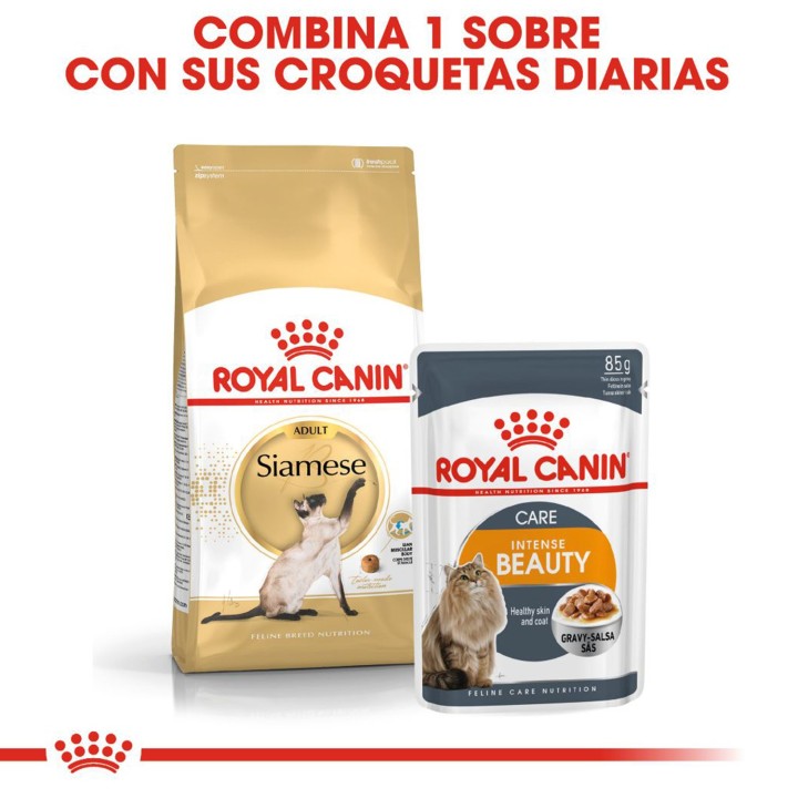 Pienso para gatos Royal Canin Razas Siamese 38 (Siamés)