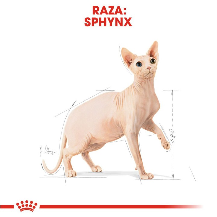 Pienso Royal Canin para gatos de Razas Sphynx