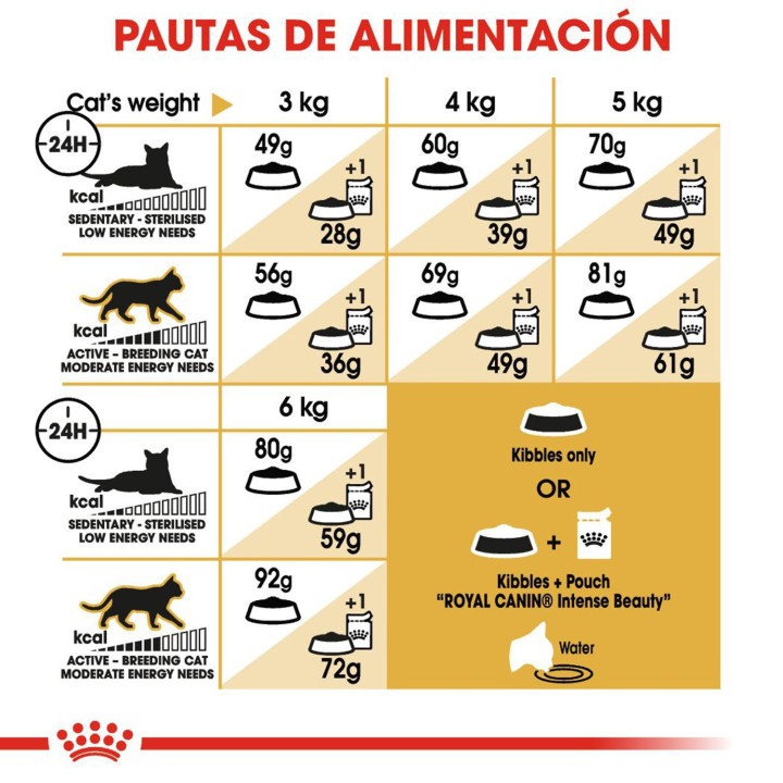 Pauta alimentación de pienso Royal Canin Razas Sphynx