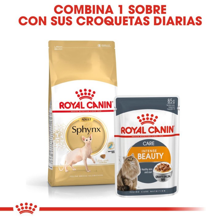 Pienso Royal Canin Razas Sphynx para gatos