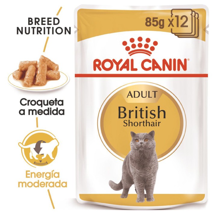 Royal Canin British Shorthair, comida húmeda para gatos