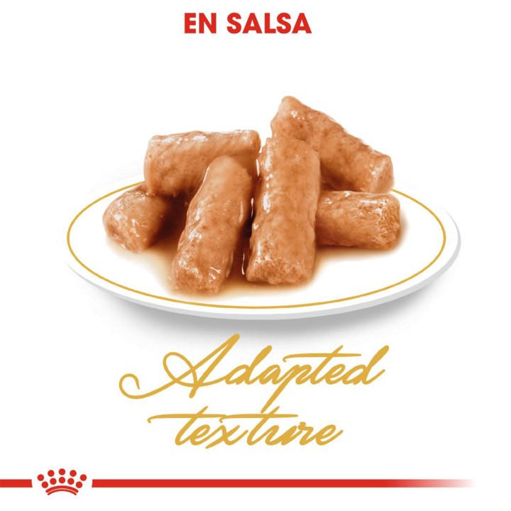 La mejor comida húmeda para gatos Royal Canin British Shorthair