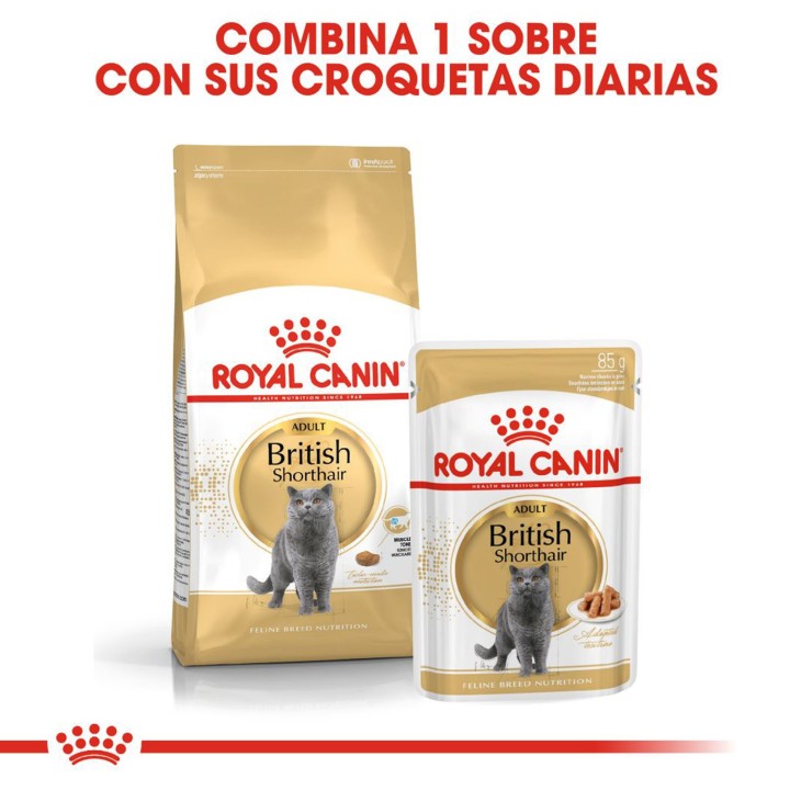 Royal Canin British Shorthair
