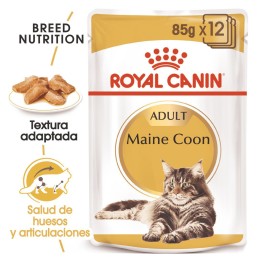 Comida húmeda para gatos Royal Canin Maine Coon