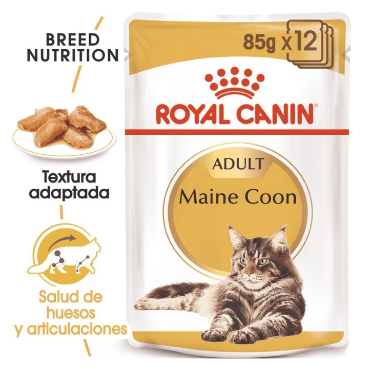 Comida húmeda para gatos Royal Canin Maine Coon