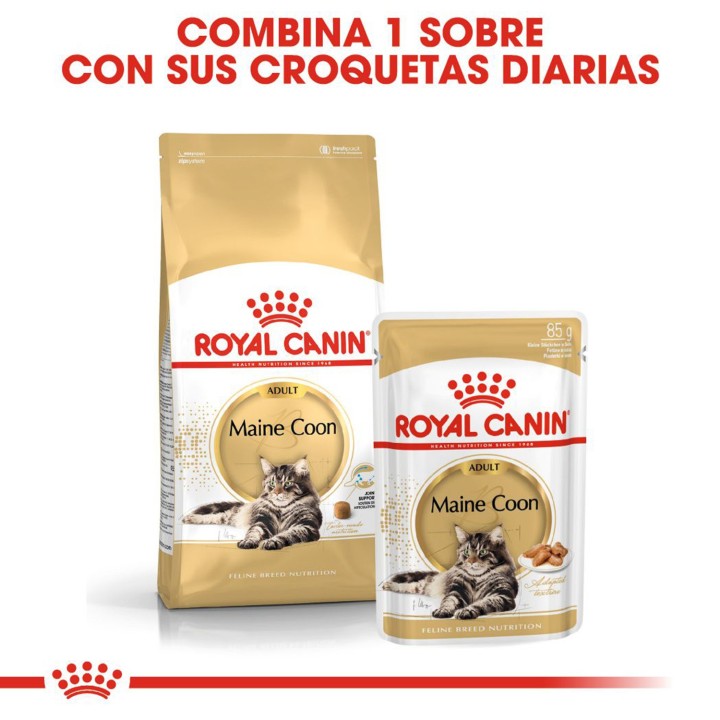 Royal Canin Maine Coon, comida húmeda para gatos