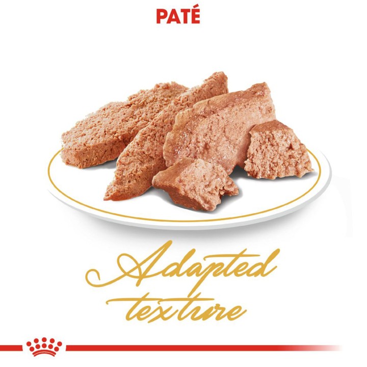 La mejor comida húmeda para gatos Royal Canin Persian