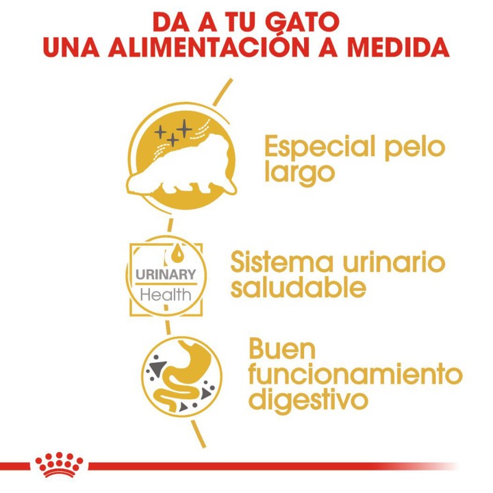 Alimentación para tu gato en comida húmeda Royal Canin Persian