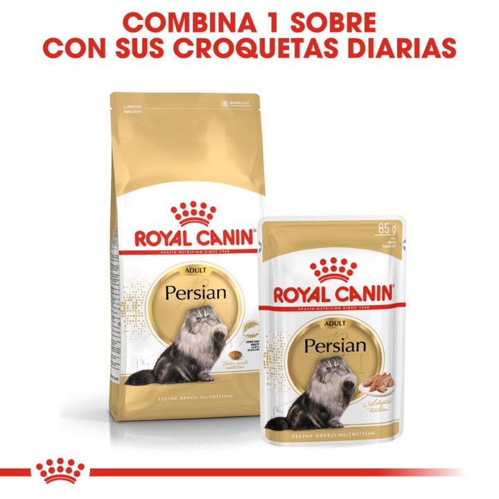 Royal Canin Persian, comida húmeda para gatos