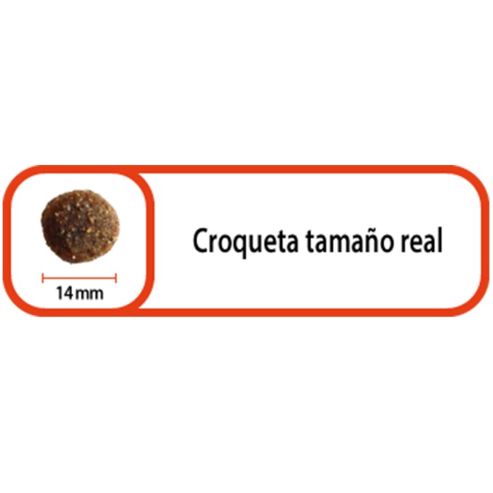 Croqueta pienso veterinario Select Veterinary Diets Joint & Mobility