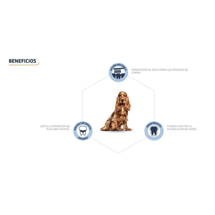 Advance Dental Care Stick, Snacks para perros, Higiene bucal