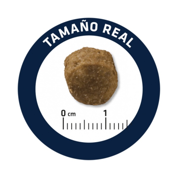 Croqueta pienso Advance Leishmaniasis Management