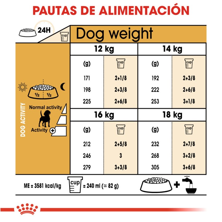 Royal Canin Beagle