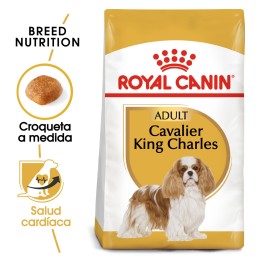 Royal Canin Cavalier King Charles