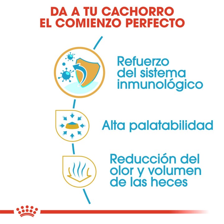 Royal Canin Chihuahua Junior