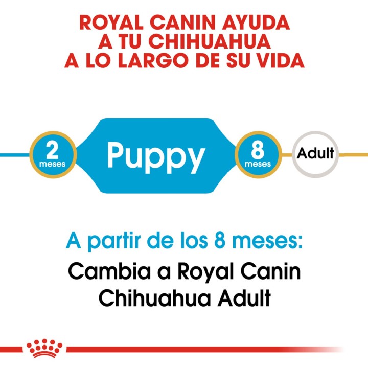 Royal Canin Chihuahua Junior