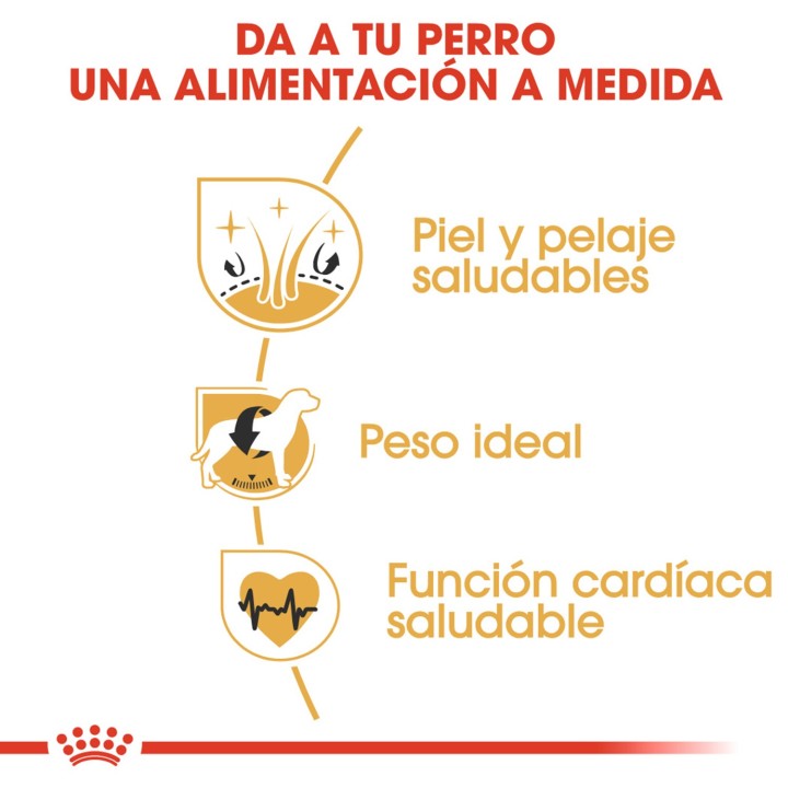 Royal Canin Cocker Adult