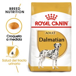 Royal Canin Dalmata Adulto