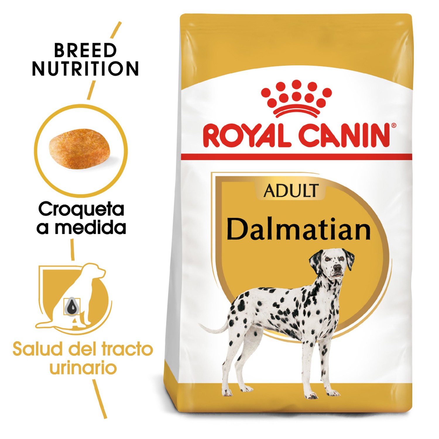 Pienso dalmata
