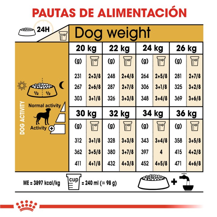 Royal Canin Dalmata Adulto