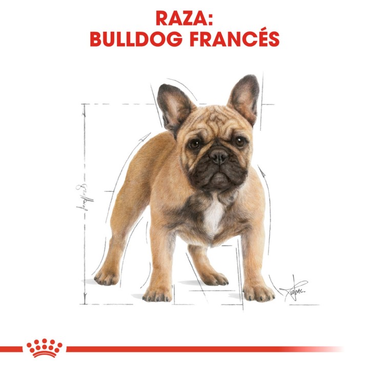 Royal Canin Bulldog Frances