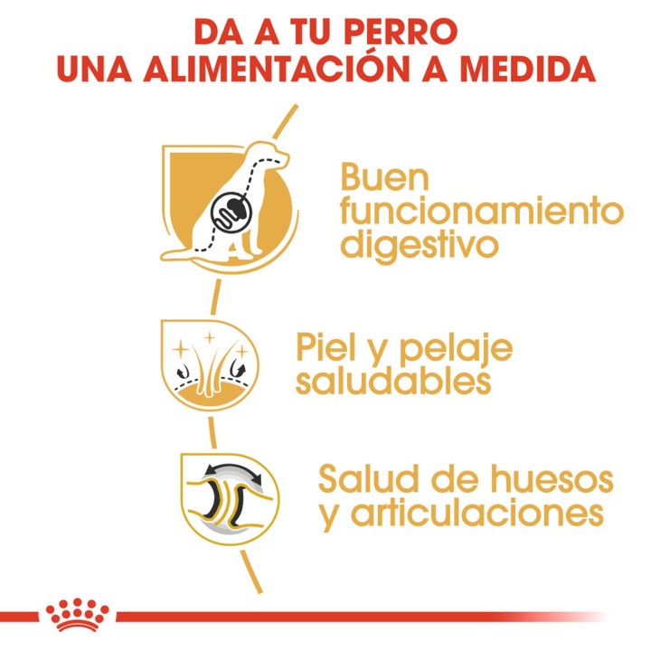Royal Canin Pastor Aleman