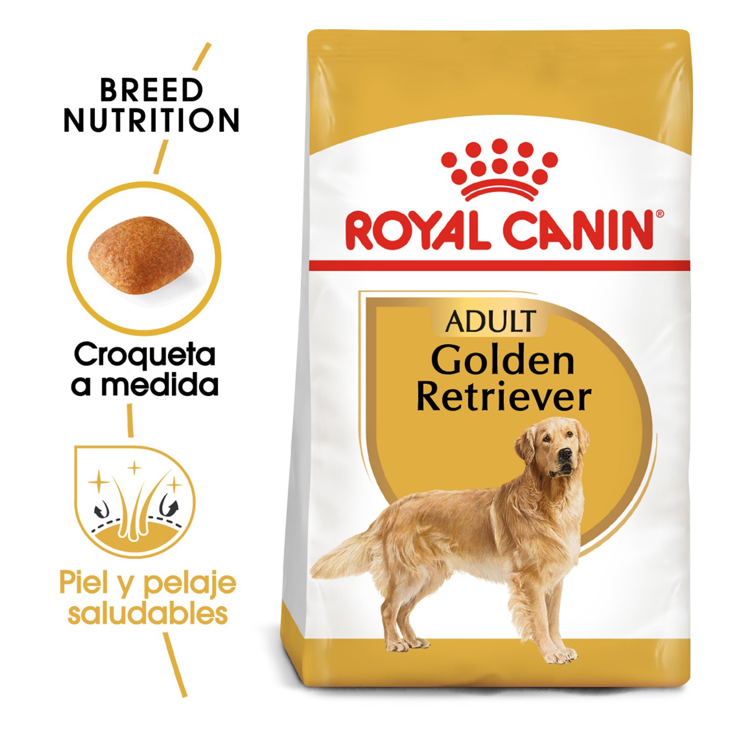 Pienso golden retrevier
