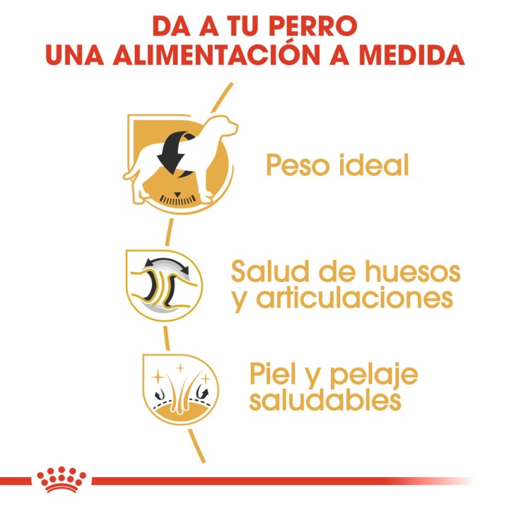 Royal Canin Labrador Retriever Adult