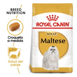 Royal Canin Maltese - Bichón Maltés