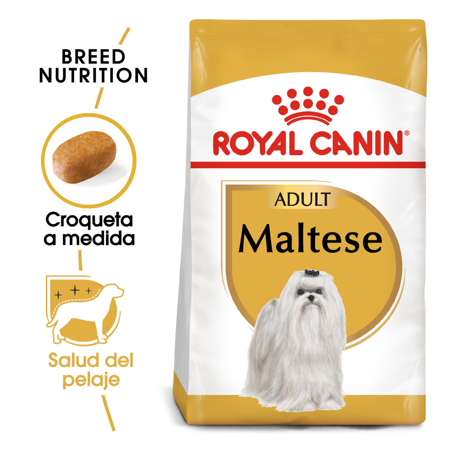 Pienso bichon maltes