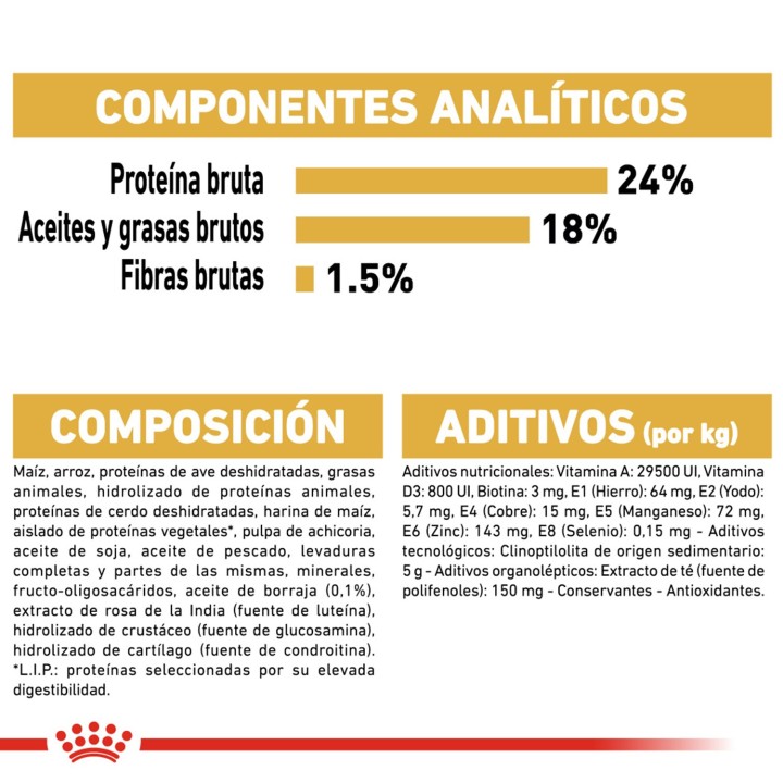 Royal Canin Maltese - Bichón Maltés