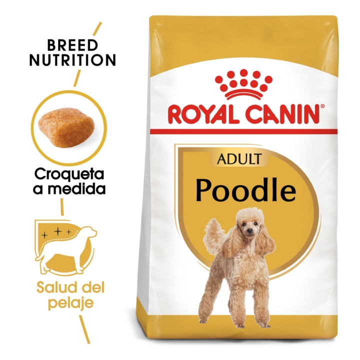 Royal Canin Poodle - Caniche