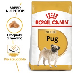 Royal Canin Pug - Carlino