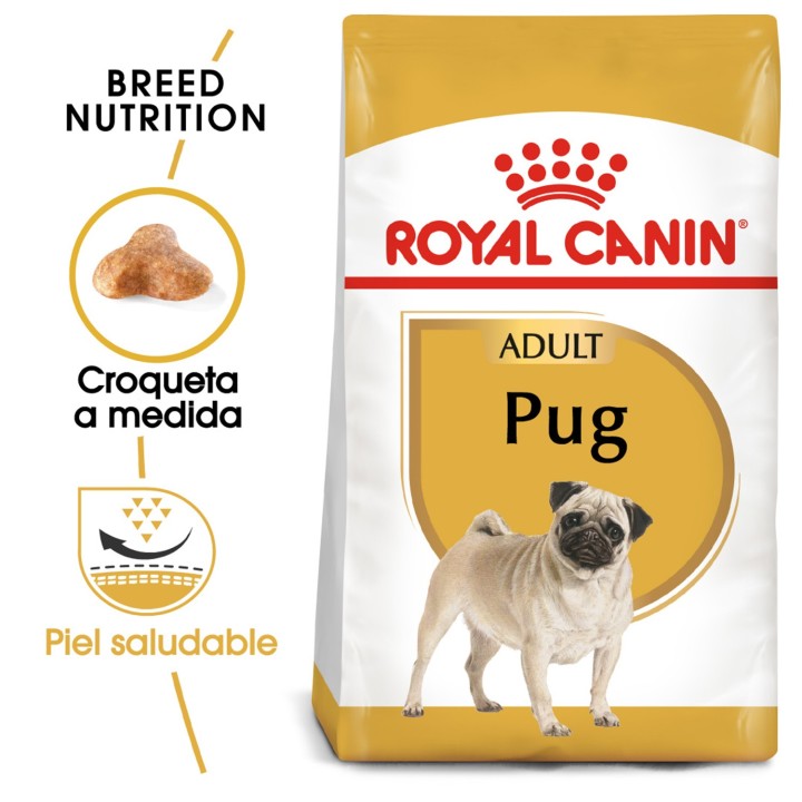 Royal Canin Pug - Carlino