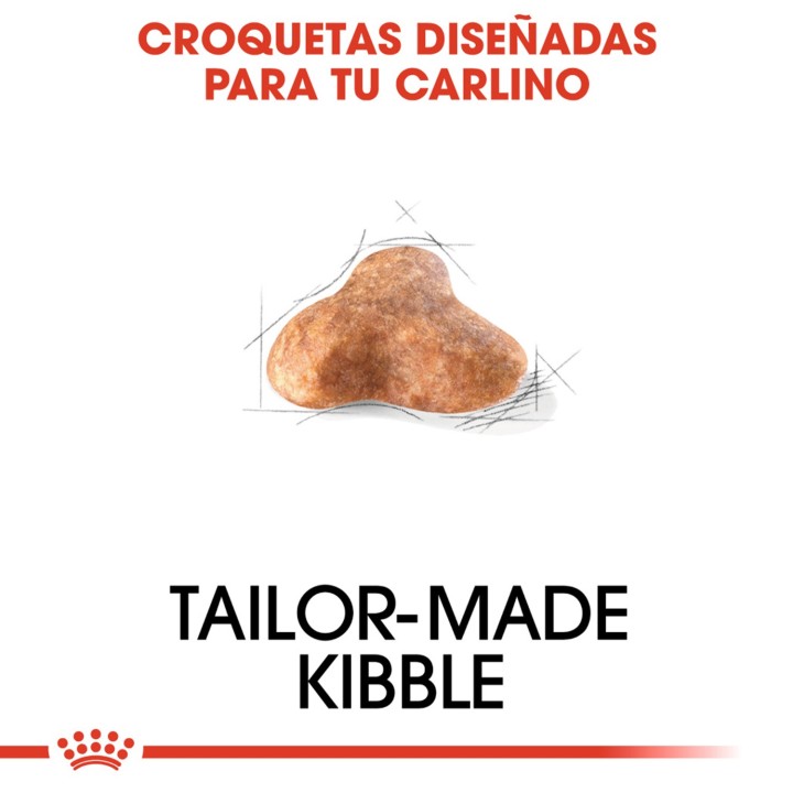Royal Canin Pug - Carlino