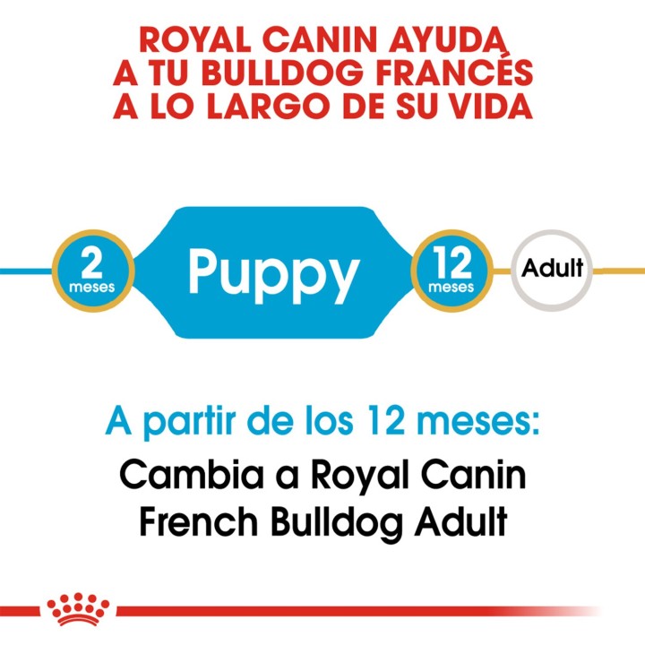 Royal Canin Puppy Bulldog Frances