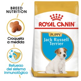 Royal Canin Jack Russell Junior