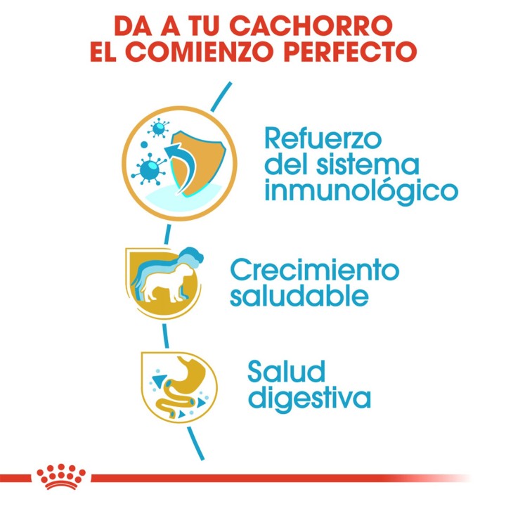 Royal Canin Jack Russell Junior