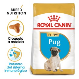 Royal Canin Puppy Pug - Carlino