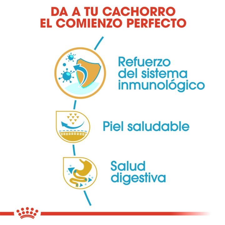 Royal Canin Puppy Pug - Carlino