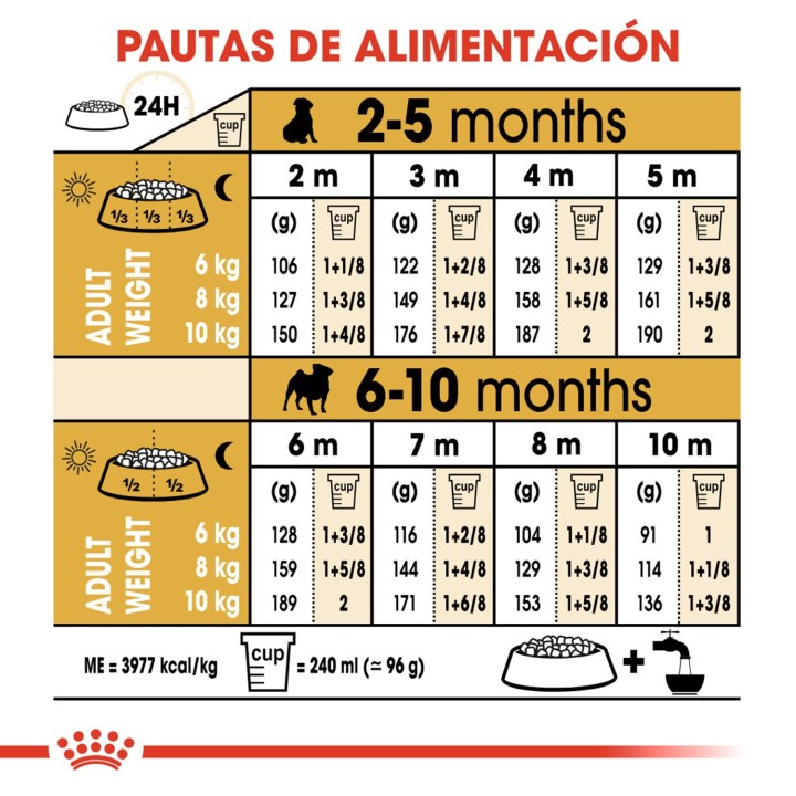 Royal Canin Puppy Pug - Carlino