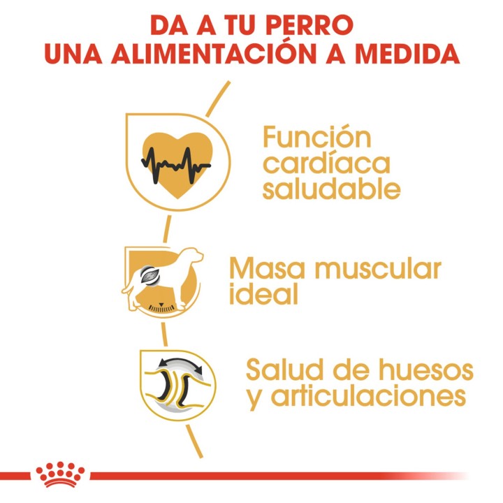 Royal Canin Rottweiler