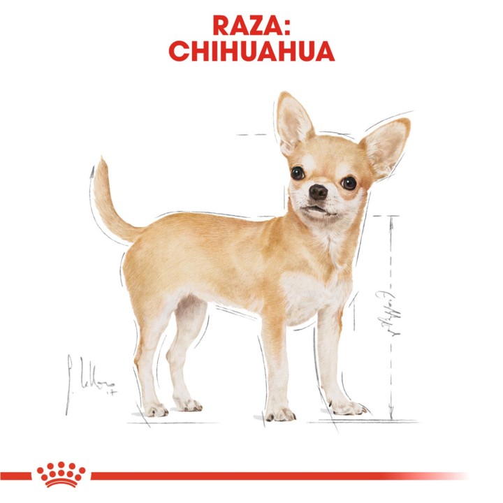 Pouch Royal Canin Chihuahua